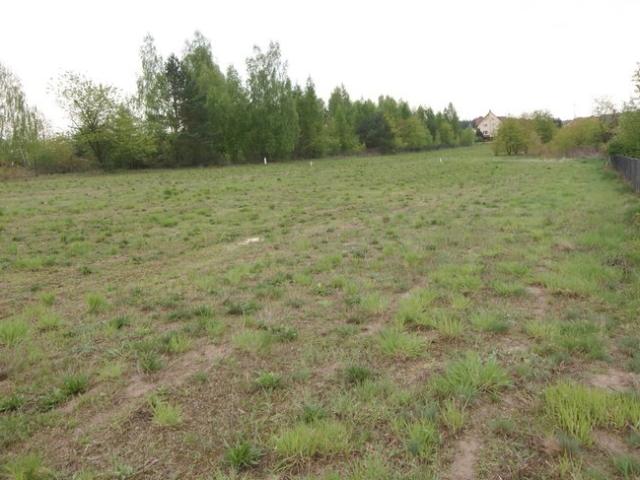 Grunt na sprzedaż w Firlej, Lubelskie