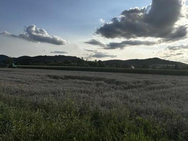 Grunt na sprzedaż w Goleszów, Śląskie