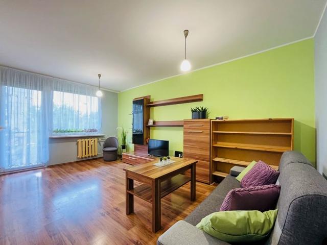 Mieszkanie do wynajęcia w Katowice, Śląskie