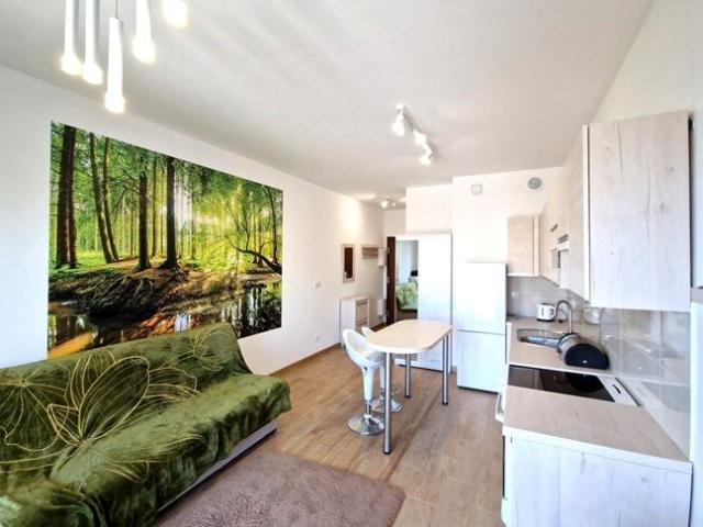 Mieszkanie do wynajęcia w Łódź, Łódzkie