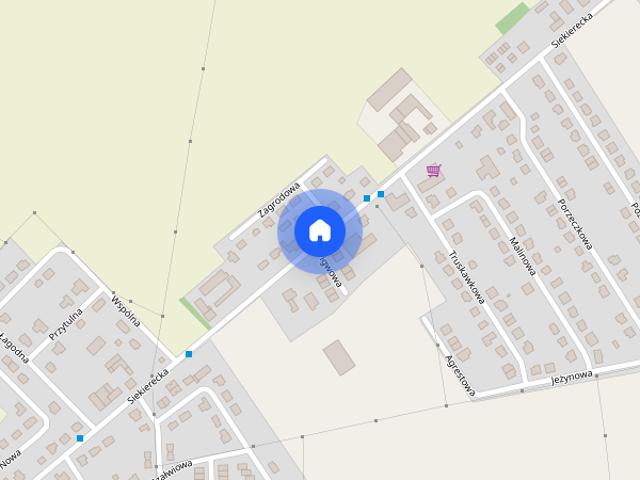 Mieszkanie do wynajęcia w Gowarzewo, Wielkopolskie