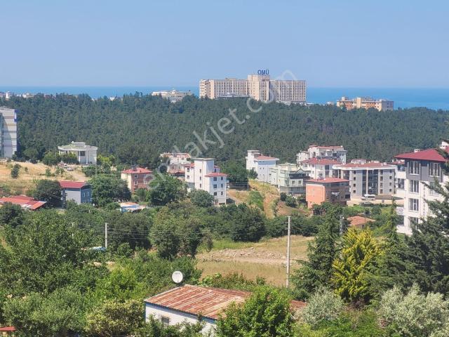 Atakum, Samsun içerisinde kiralık mülk