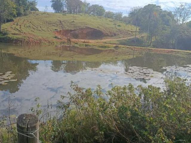 Sítio e chácara venda em Indepêndencia, São Sebastião do Paraíso