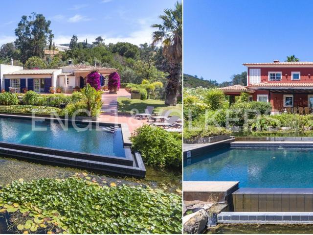 Casa venda em Caldas de Monchique, Monchique
