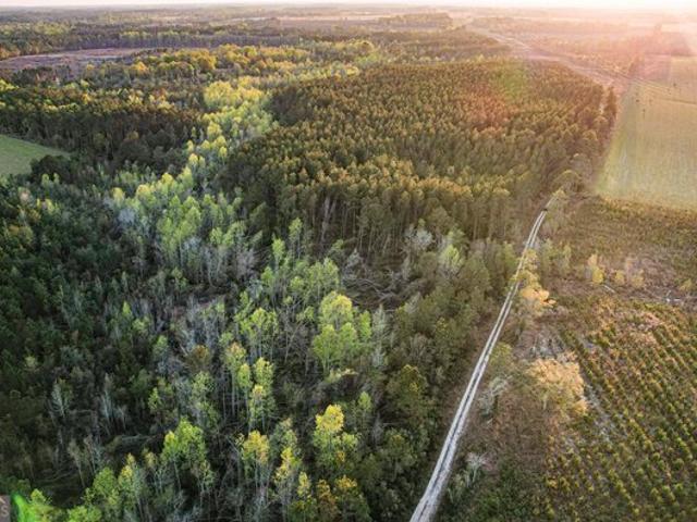 Land for sale in Baxley, Georgia
