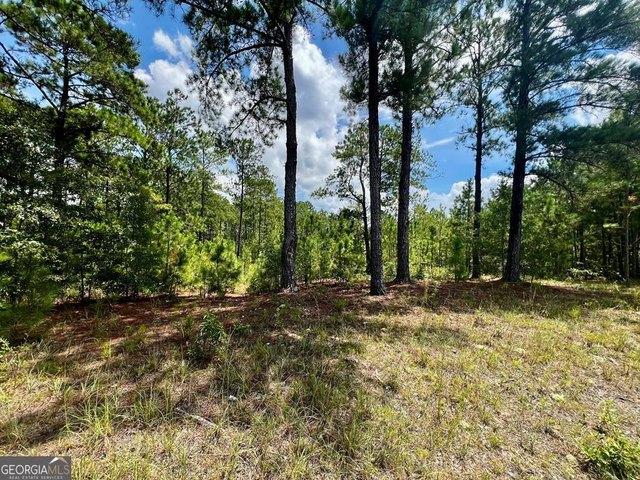 Land for sale in Dexter, Georgia
