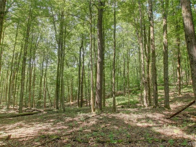 Land for sale in Little Valley, New York