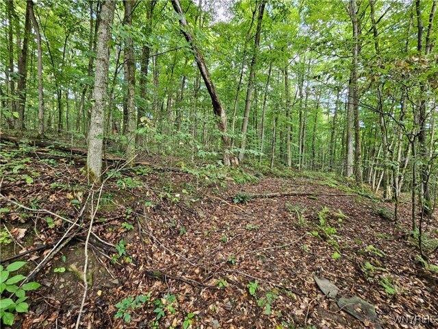 Land for sale in Salamanca, New York