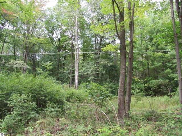 Land for sale in Tawas City, Michigan