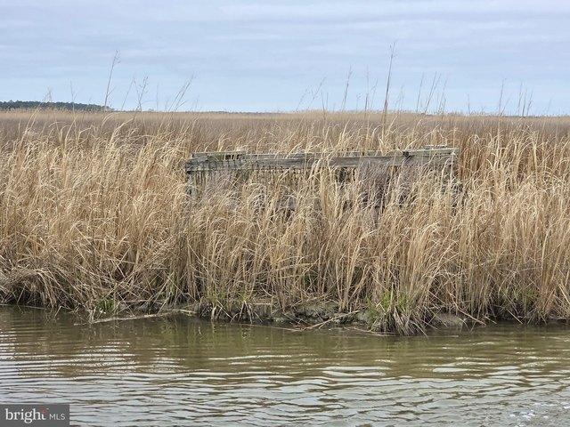 Land for sale in Dorchester, Maryland