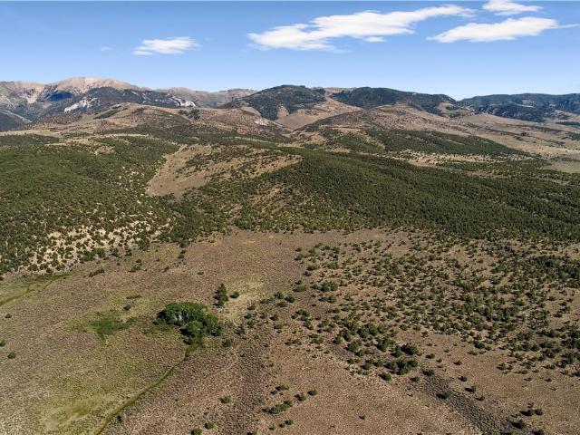 Land for sale in White Pine, Nevada