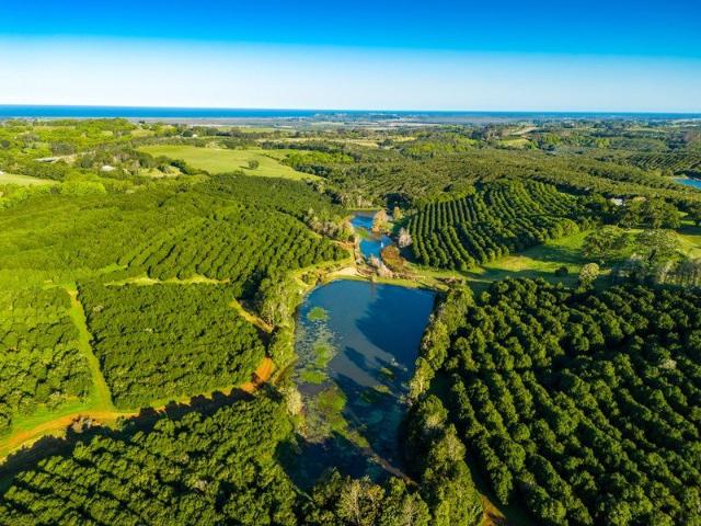 Cottage for sale in Newrybar, Ballina Shire Council
