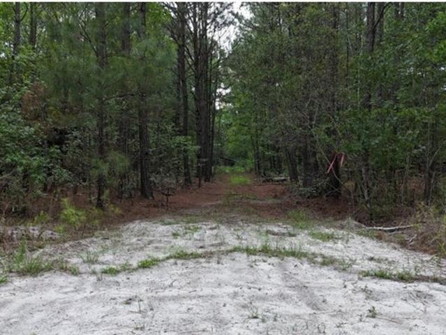 Land for sale in Screven, Georgia
