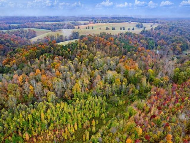 Land for sale in Tennessee