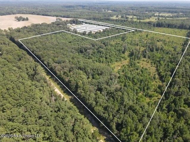 Land for sale in Sontag, Mississippi