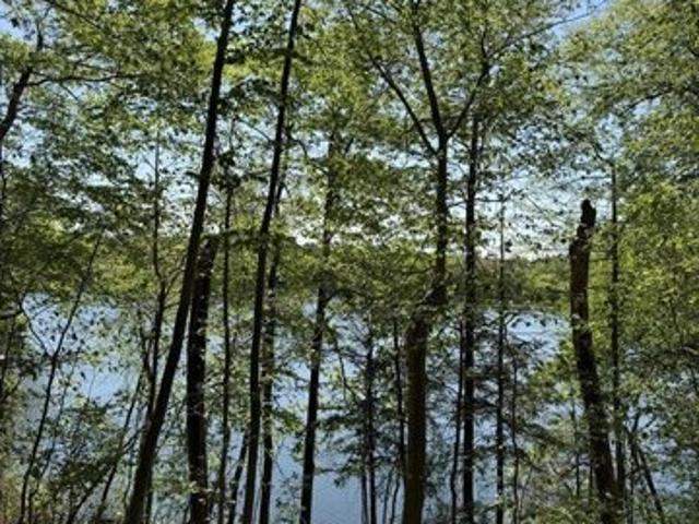 Land for sale in Wayland, Massachusetts
