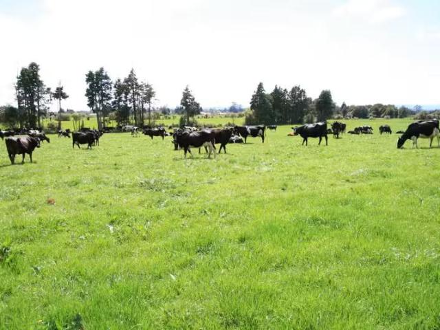 House for rent in Inglewood, New Plymouth District