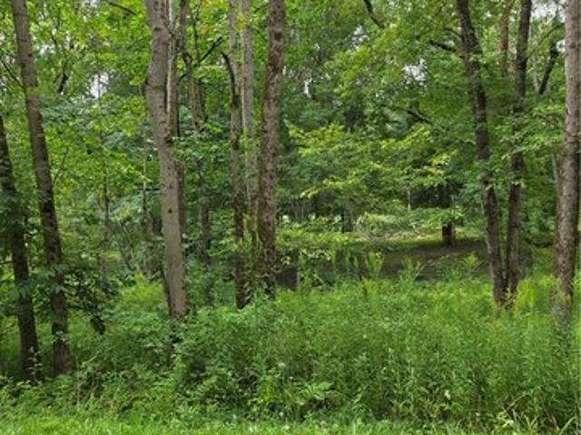 Land for sale in Eldred, Pennsylvania