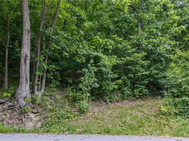 Land for sale in Naples, New York