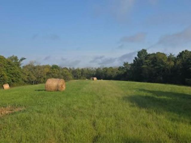 Land for sale in Vevay, Switzerland County