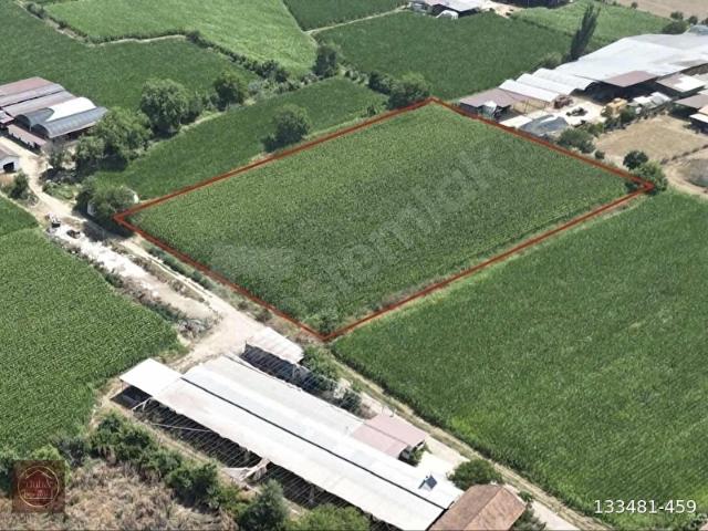 Ödemiş, İzmir içerisinde satılık Arsa