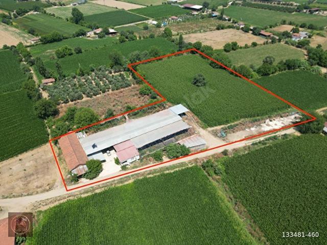 Ödemiş, İzmir içerisinde satılık Fabrika