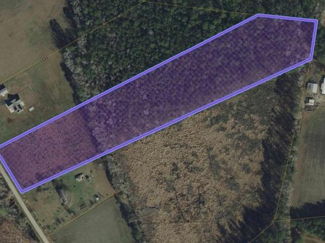 Land for sale in Conway Land for sale in Conway