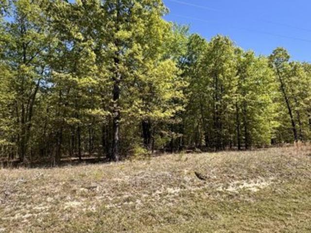 Land for sale in Wadley, Georgia