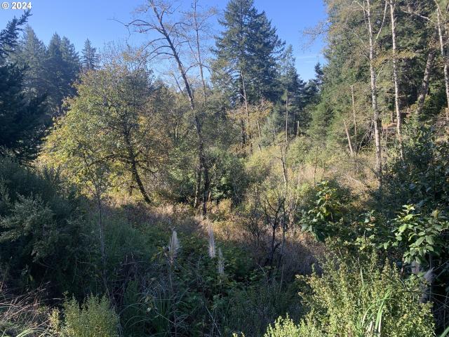 Land for sale in Oregonia