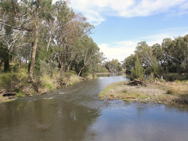 Cottage for sale in Mole River, New South Wales