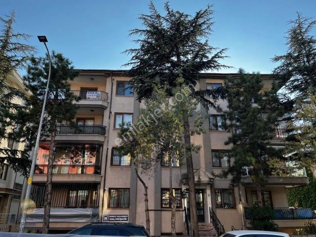 Dumlupınar Mahallesi, Afyonkarahisar Merkez içerisinde kiralık mülk