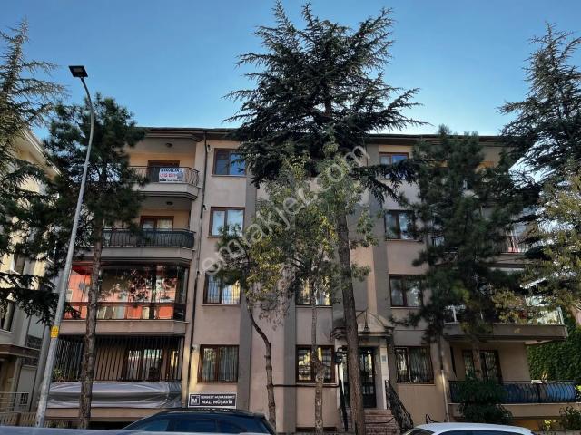 Afyon Merkez, Afyonkarahisar içerisinde kiralık mülk