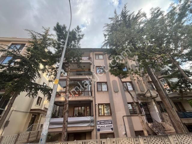 Afyon Merkez, Afyonkarahisar içerisinde kiralık mülk
