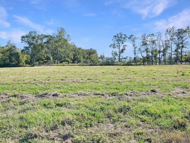 Land for sale in Jackson, Louisiana