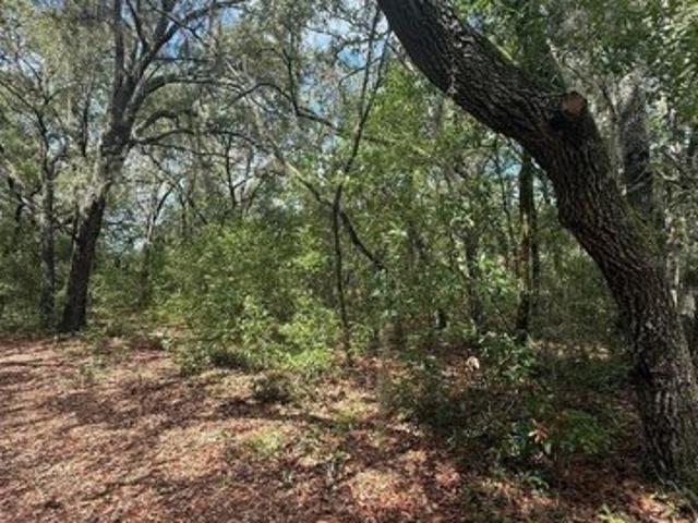 Land for sale in Interlachen Land for sale in Interlachen