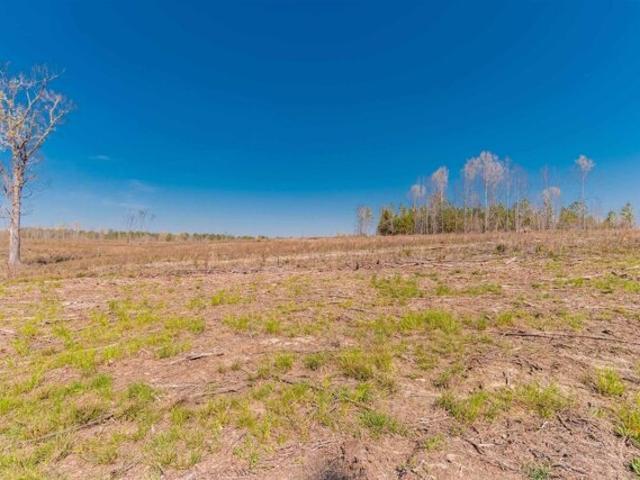 Land for sale in Batesburg