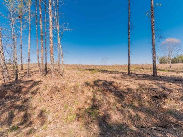 Land for sale in Batesburg