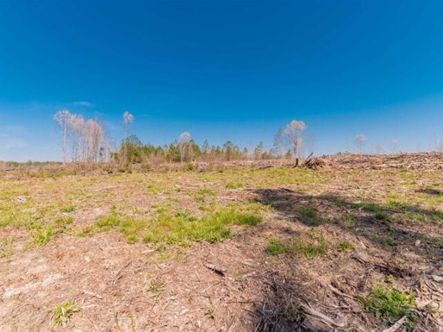 Land for sale in Batesburg
