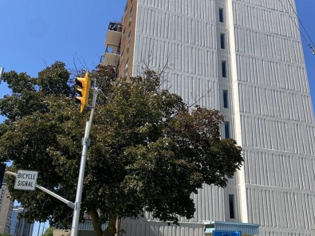 Apartment for rent in Arva, Ontario