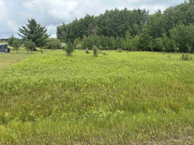 Land for sale in Gladwin, Michigan
