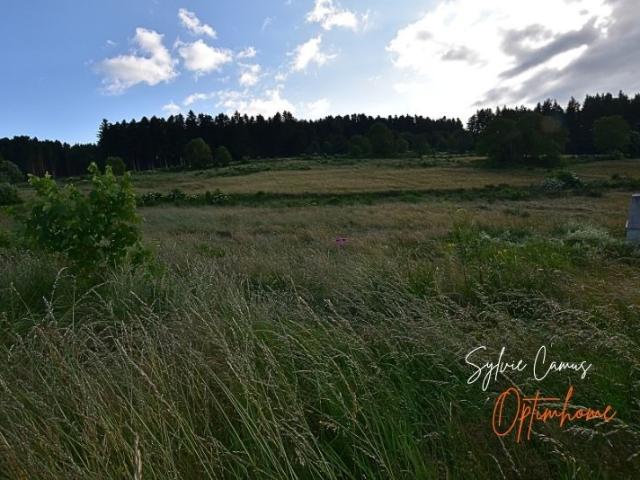 Terrain vente à Yssingeaux, Dunières