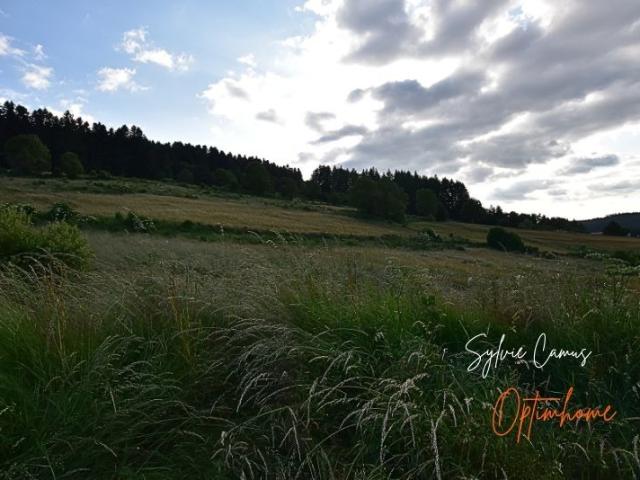 Terrain vente à Yssingeaux, Dunières