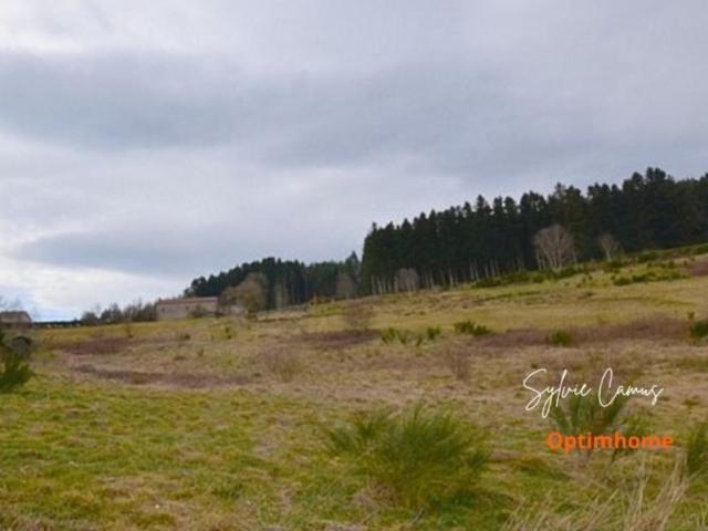 Terrain vente à Yssingeaux, Dunières