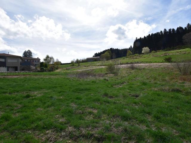 Terrain vente à Yssingeaux, Dunières
