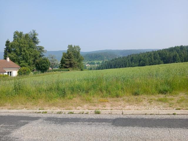 Terrain vente à Yssingeaux, Dunières