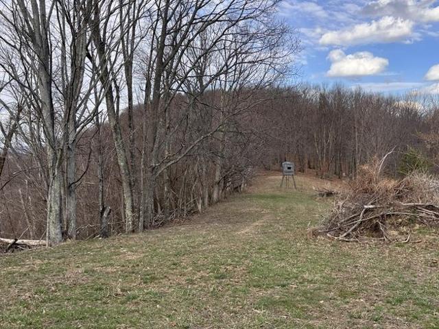 Land for sale in Peterstown, West Virginia