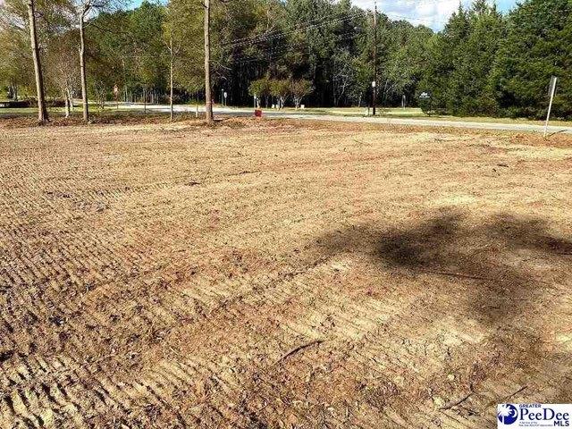 Land for sale in Darlington, South Carolina