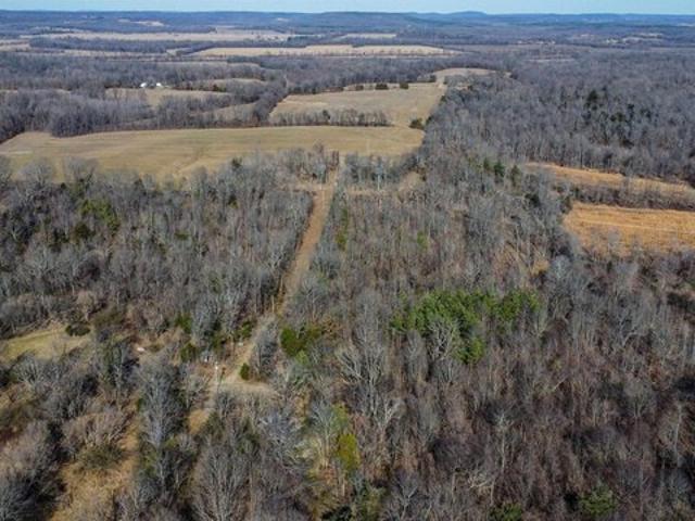 Farm for sale in Ledbetter, Kentucky