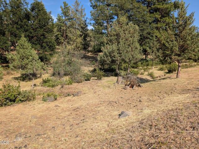 Land for sale in Oregonia