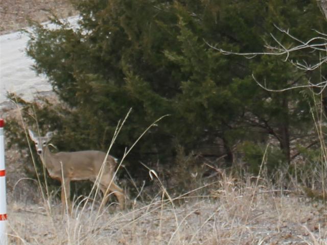 Land for sale in Missouri